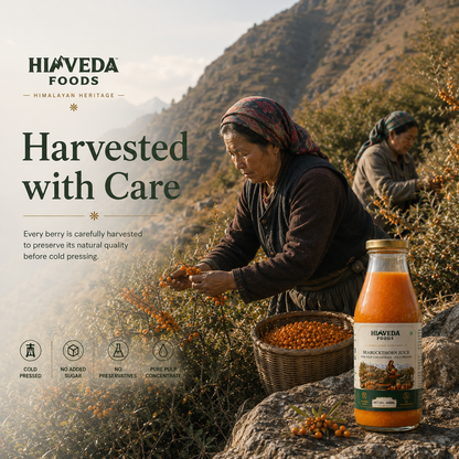 Sea Buckthorn Pulp, 300ml (Juice) (Rich in Vitamin C, Omega 3,6,7 and 9 and Antioxidants)