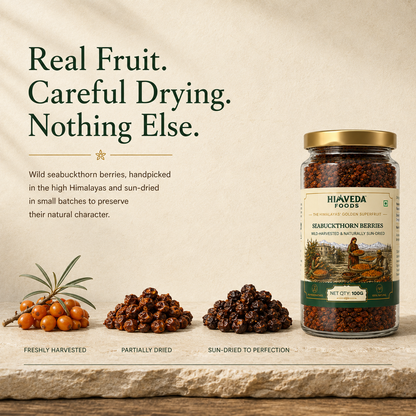 Premium Sea Buckthorn Berries, 100g (Dried Seabuckthorn)